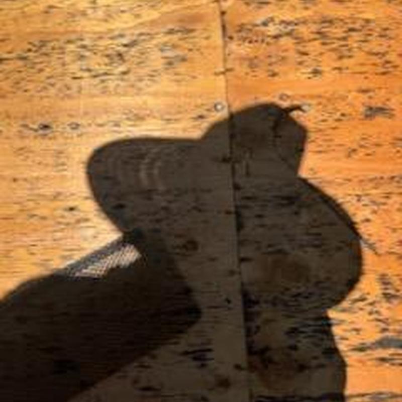 Plywood roof decking with replaced sections shadowed