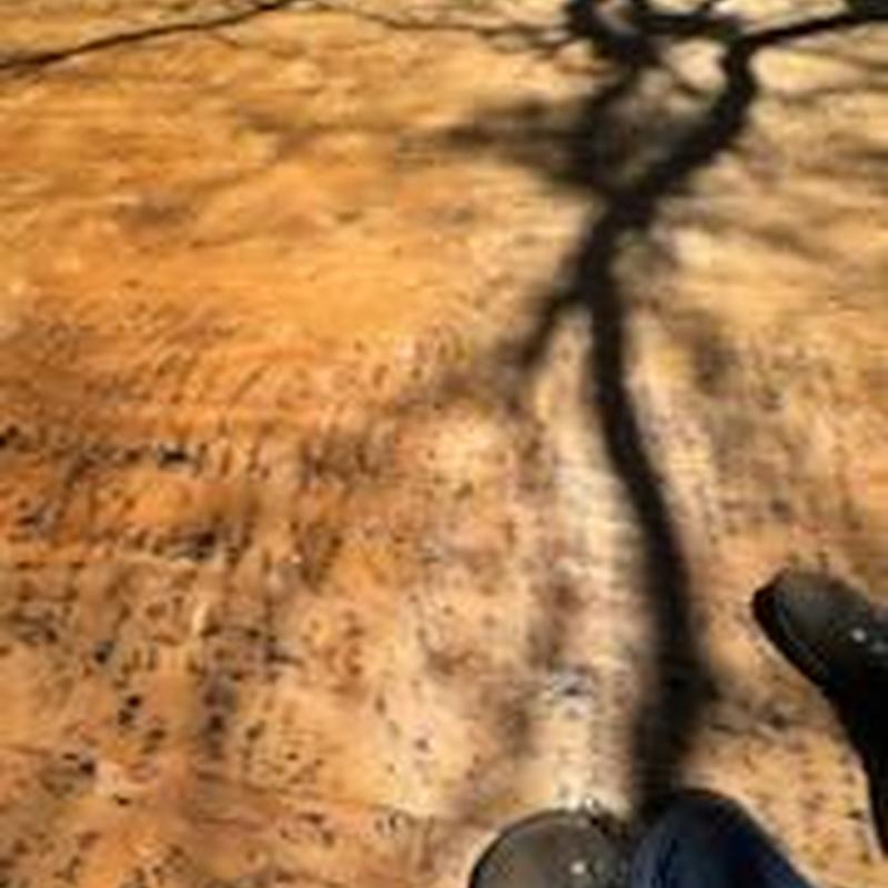 Plywood roof decking replacement on residential roof