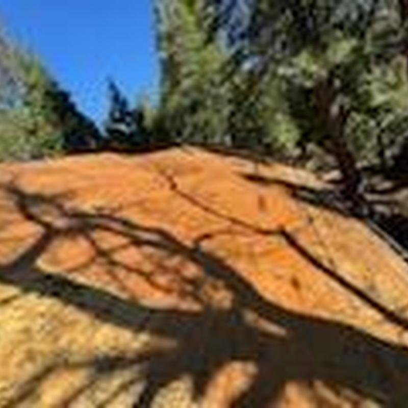 GAF Lifetime asphalt roof with plywood replacement