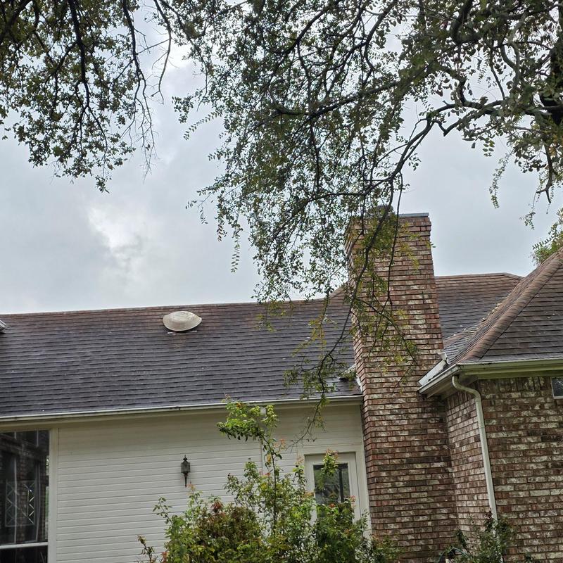 Asphalt roof inspection for hail damage in Terrell, TX Asphalt roof inspection for hail damage in Terrell, TX