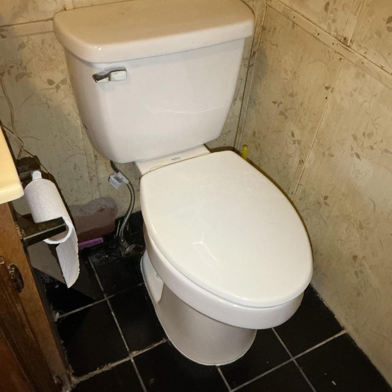 Toilet installation with new flange bolts and wax ring