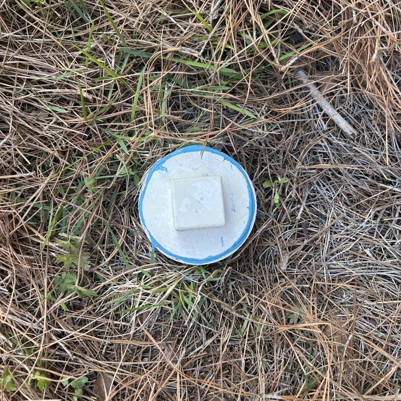 Sewer cleanout access cap surrounded by dry grass