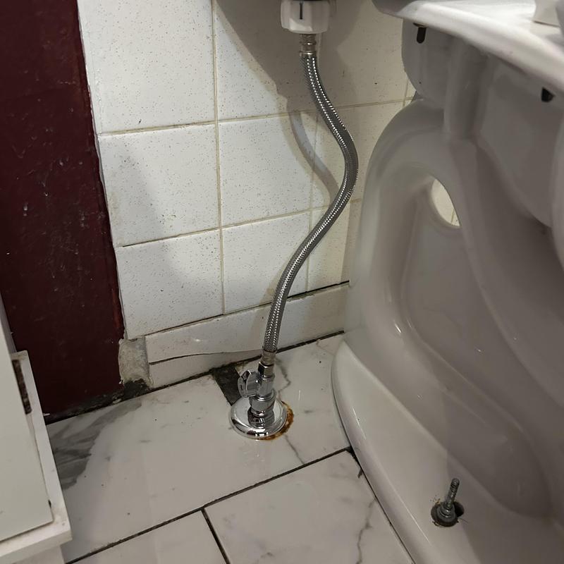 Toilet quarter turn shut off valve with braided hose