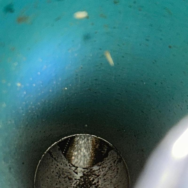 Main sewer line interior showing water flushing blockage