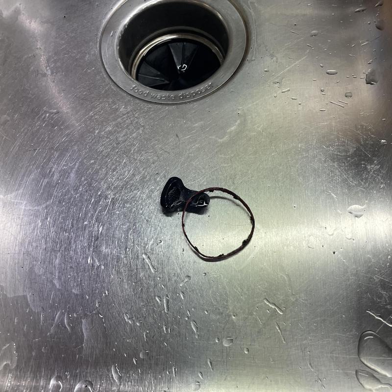 Garbage disposal drain with debris removed in sink