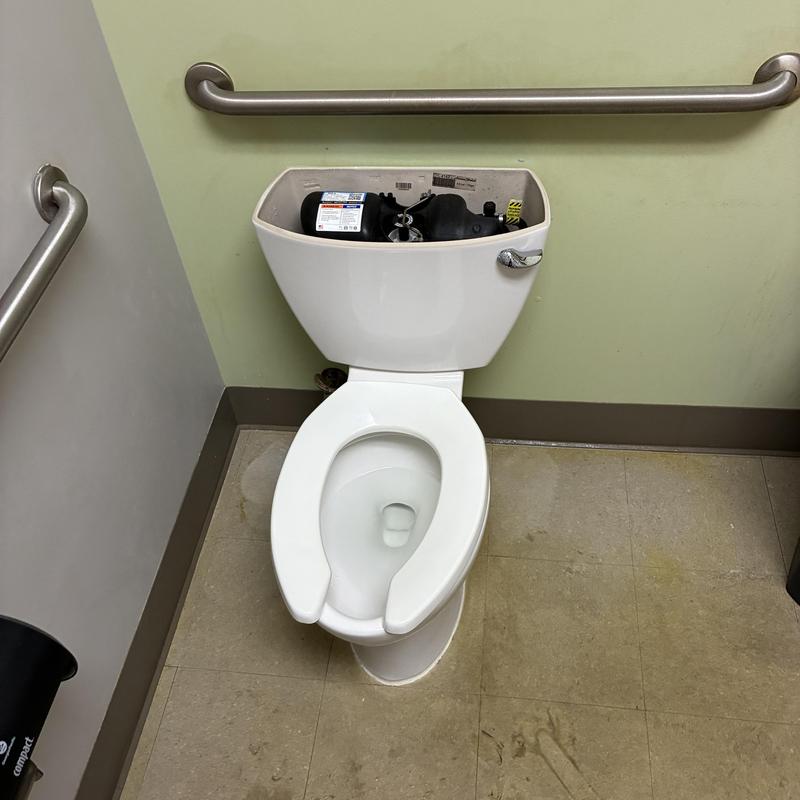 Pressure assisted toilet with open tank lid and bowl bolts