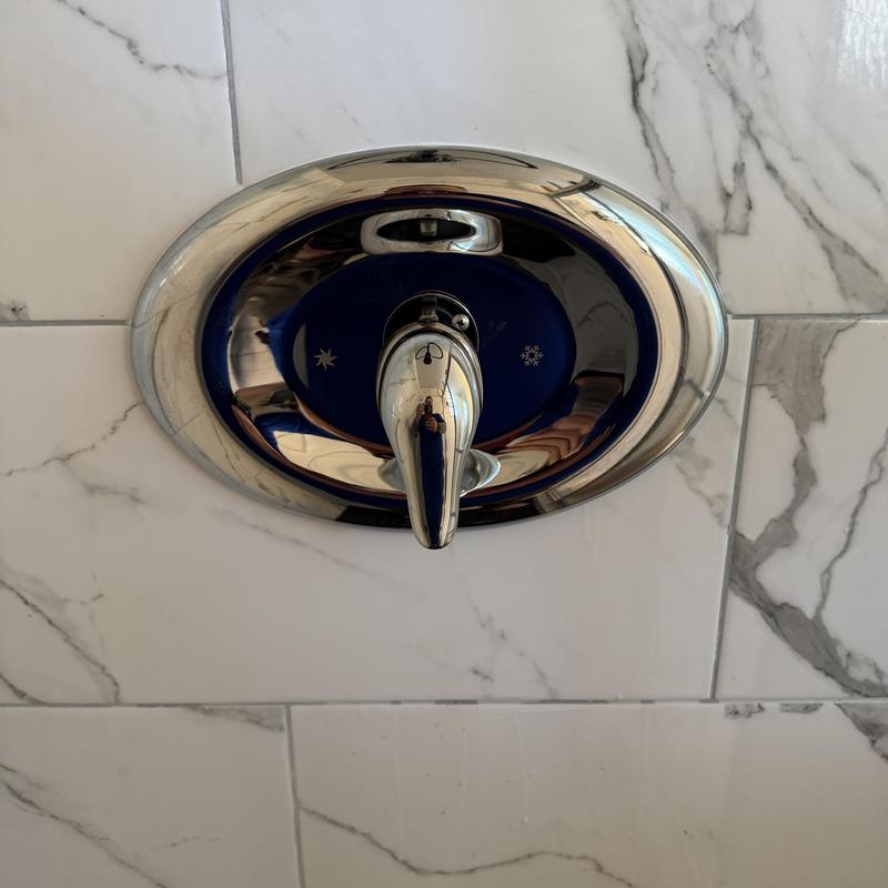 Moen shower valve with chrome trim on tile wall