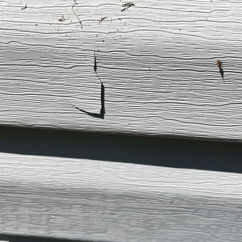 Vinyl siding with cracked and peeling paint detail