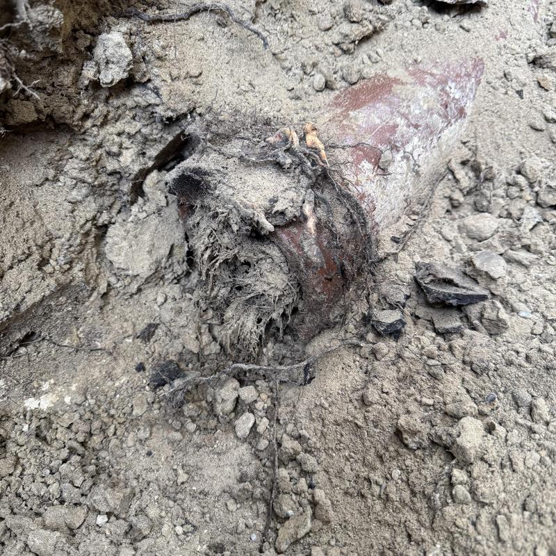 4-inch collapsed sewer crock pipe excavation site