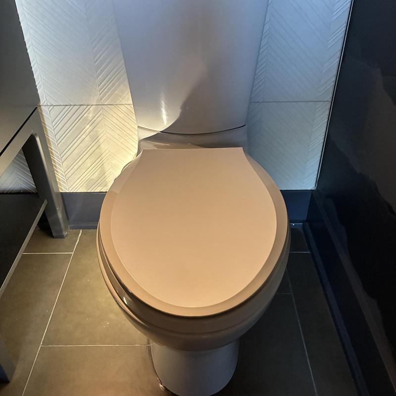 Toilet with new wax ring after odor fix