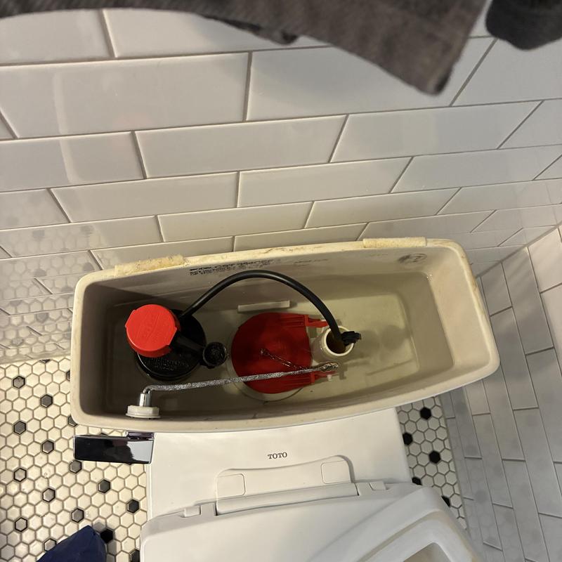 Toilet tank internal components during rebuild in bathroom