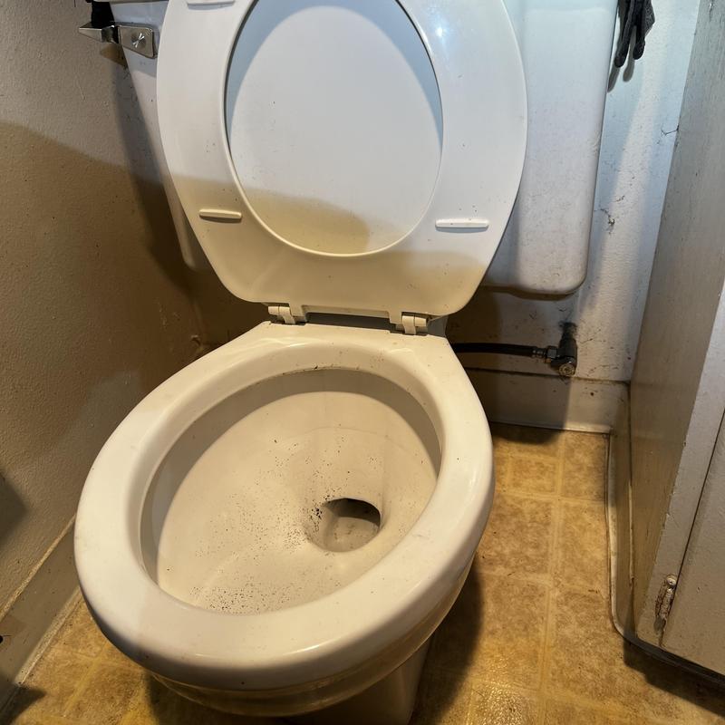 Toilet with open lid after main drain unclogging