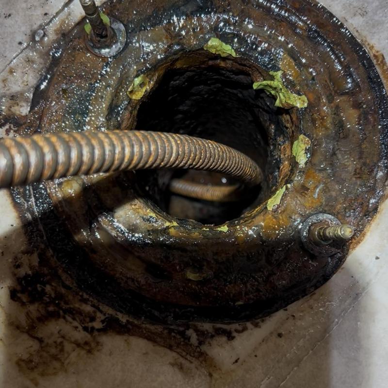 Main drain with snake clearing clog from toilet flange
