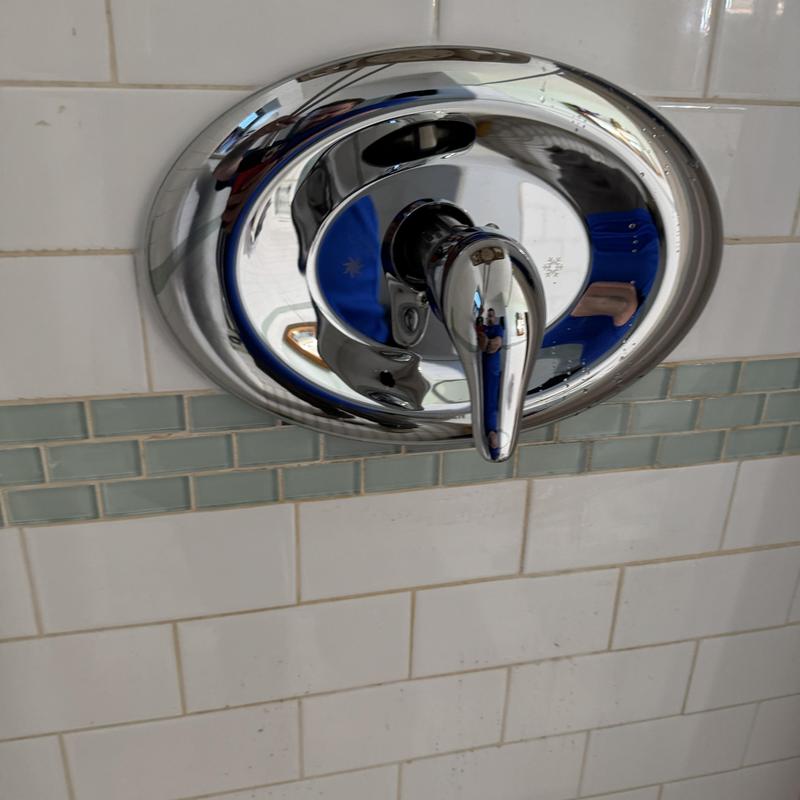 Moen shower valve with single handle and trim installed