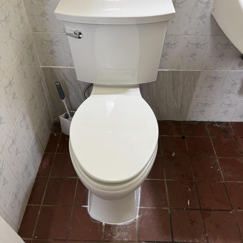ADA height elongated toilet with seat installed