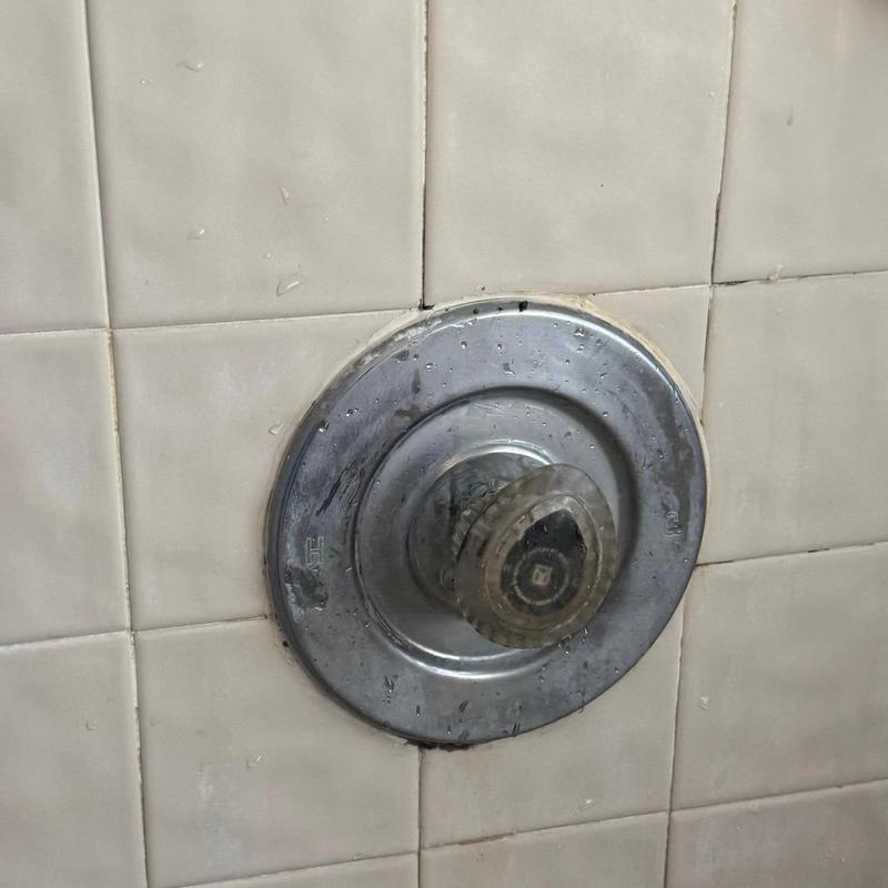 Shower valve handle on tiled wall with water droplets