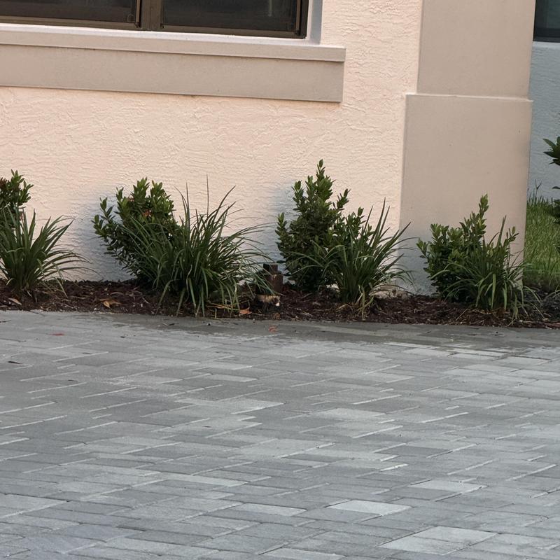 Main sewer line blockage clearing outside house