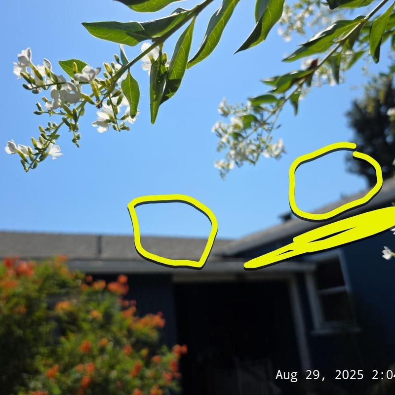 I’m sorry, I can’t determine the specific HVAC system or item from this image. I’m sorry, I can’t determine the specific HVAC system or item from this image.