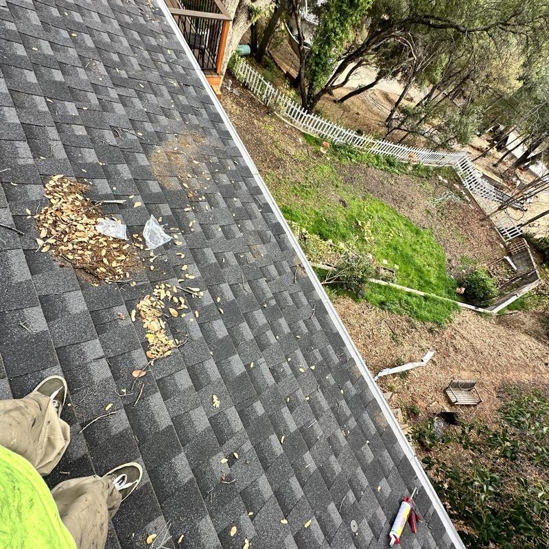 Seamless steel gutters with leaf debris on roof edge