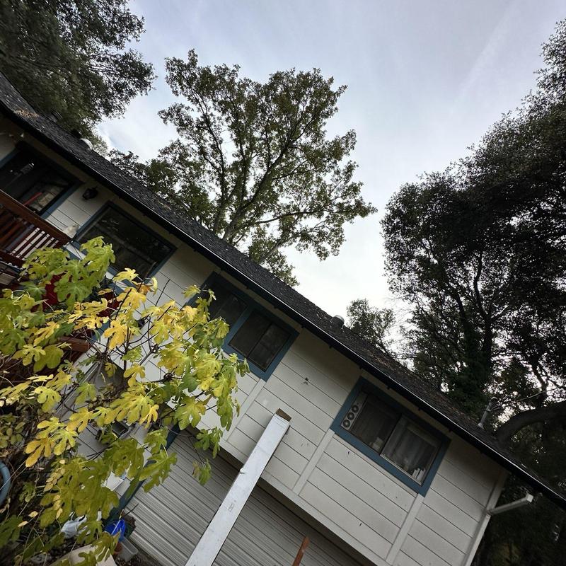 Steel seamless gutters with leaf blaster guards on house