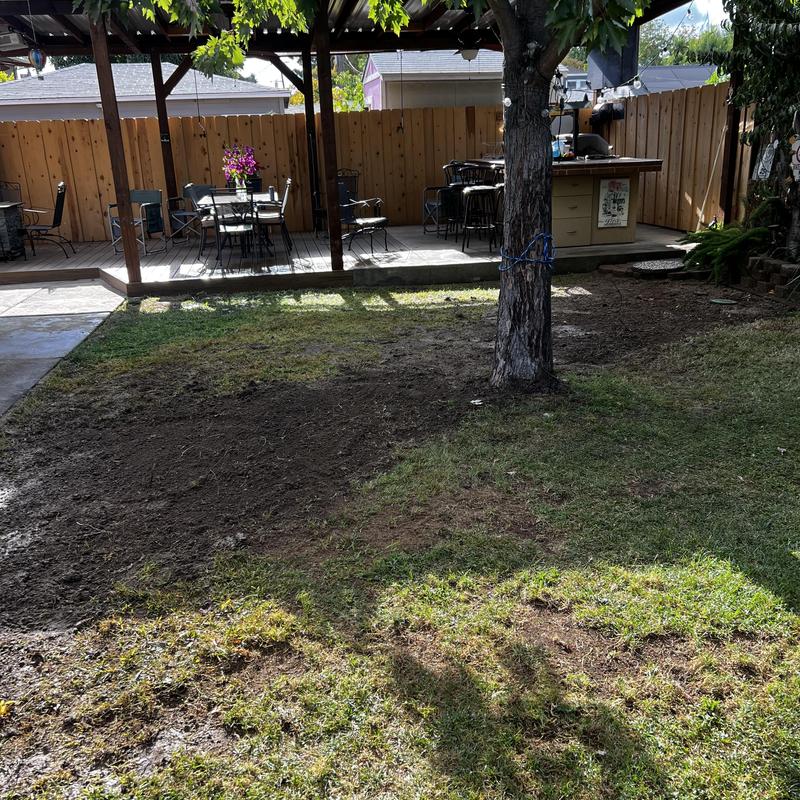Sewer trench dug and backfilled in backyard
