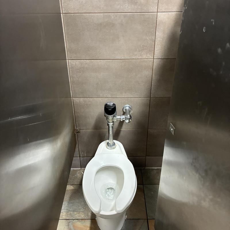 Commercial toilet flush valve in restroom stall