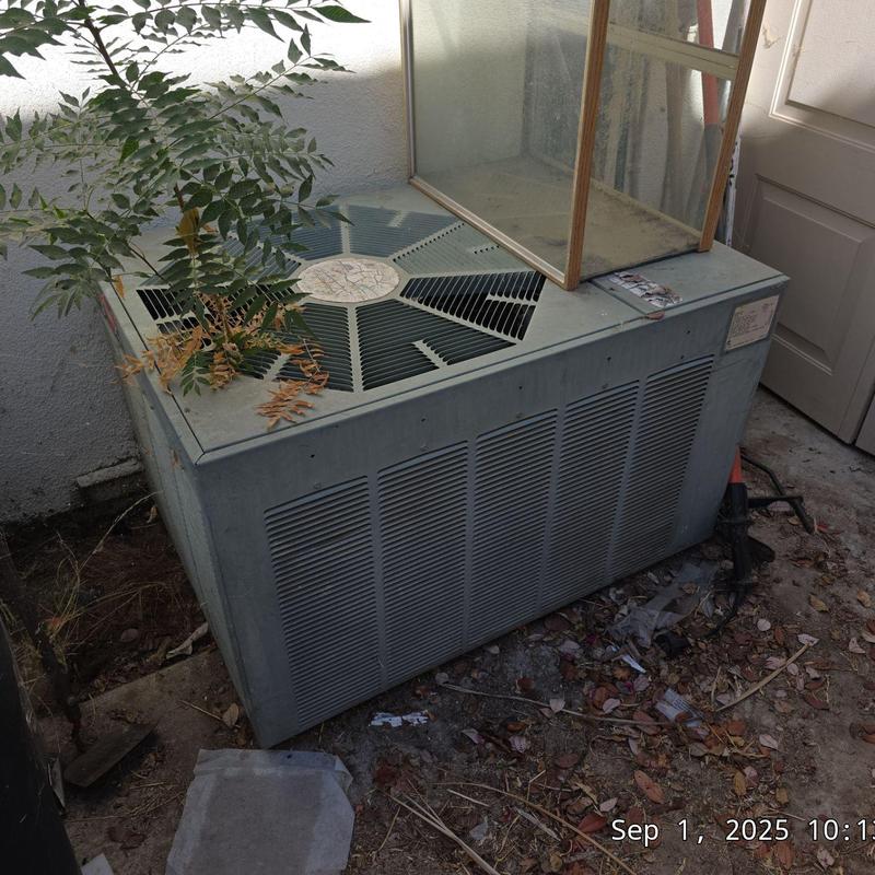 Condenser unit outdoors with debris and plant growth