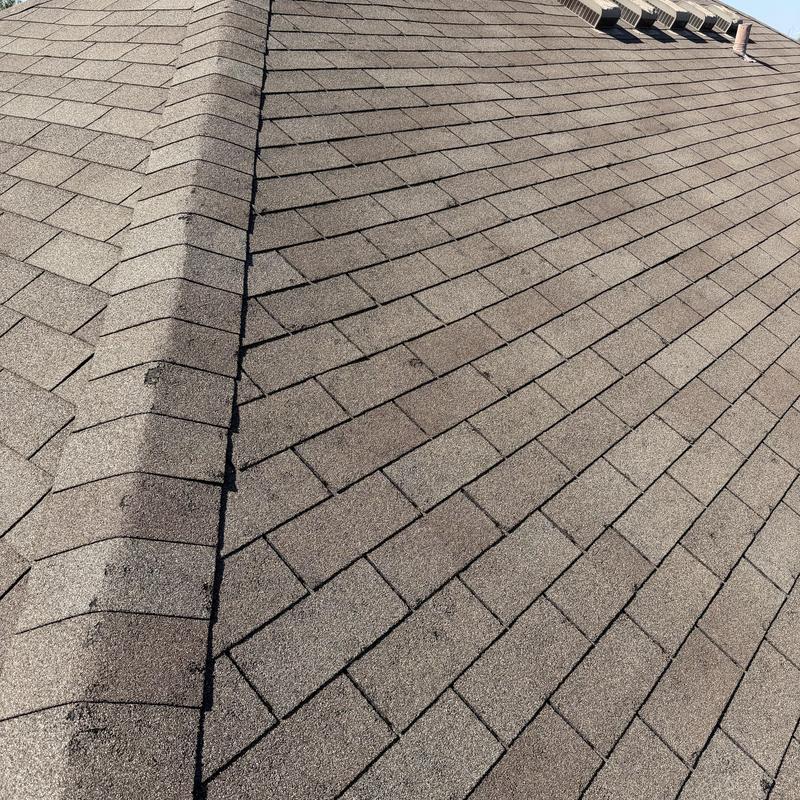 Asphalt shingle roof with visible hail damage marks