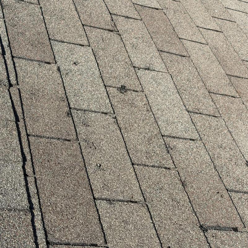 Asphalt shingles with hail damage spots visible