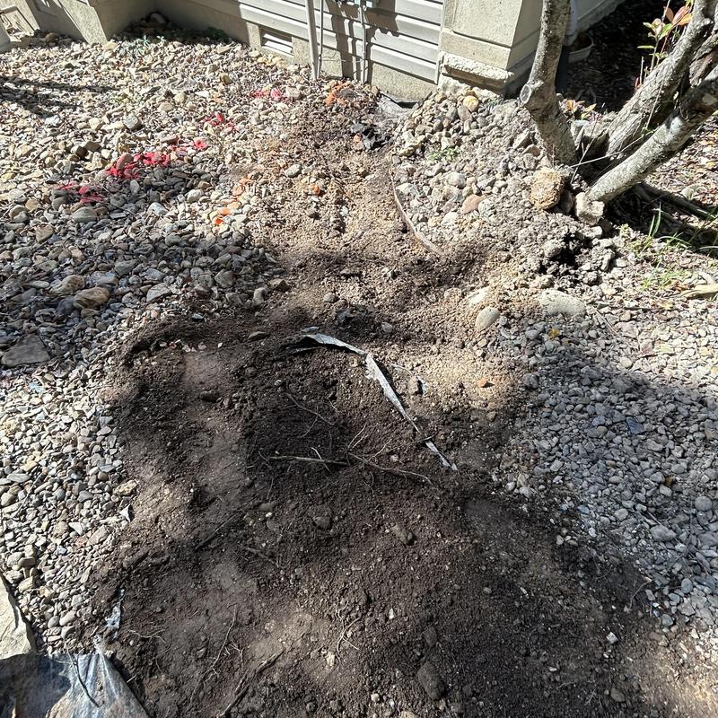 Water service pipe excavation near house foundation