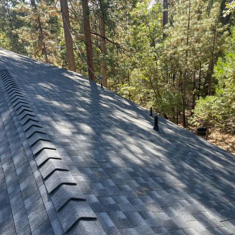GAF Lifetime asphalt roof with ridge vent in forest