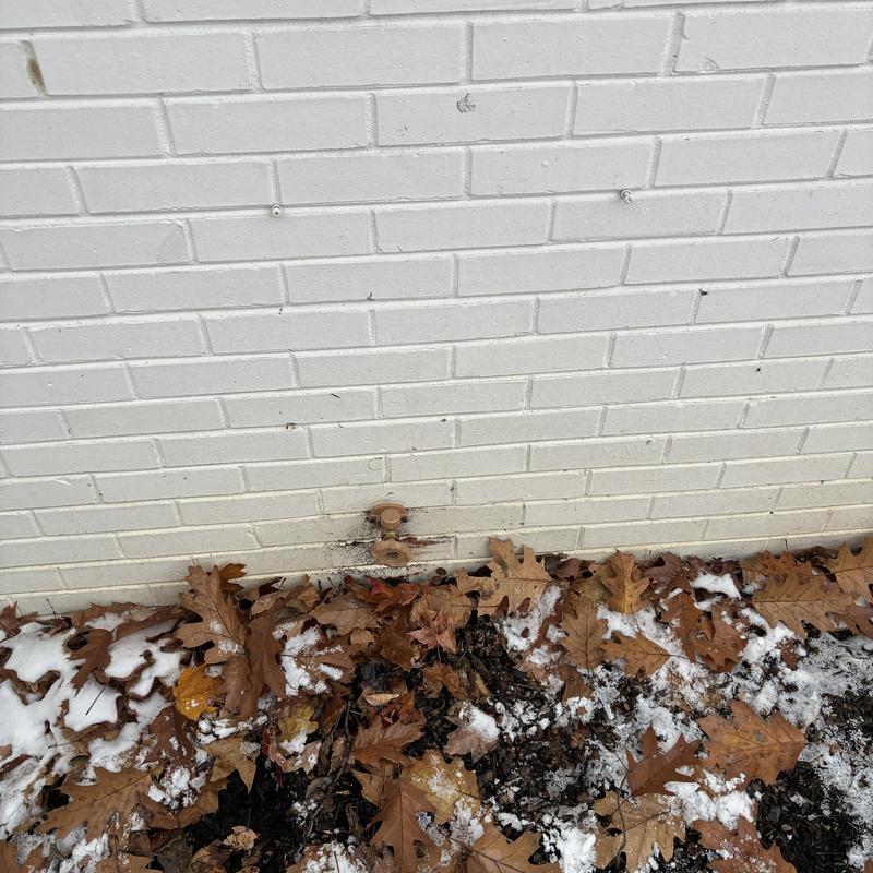 Outside hose faucets installed on brick wall with leaves