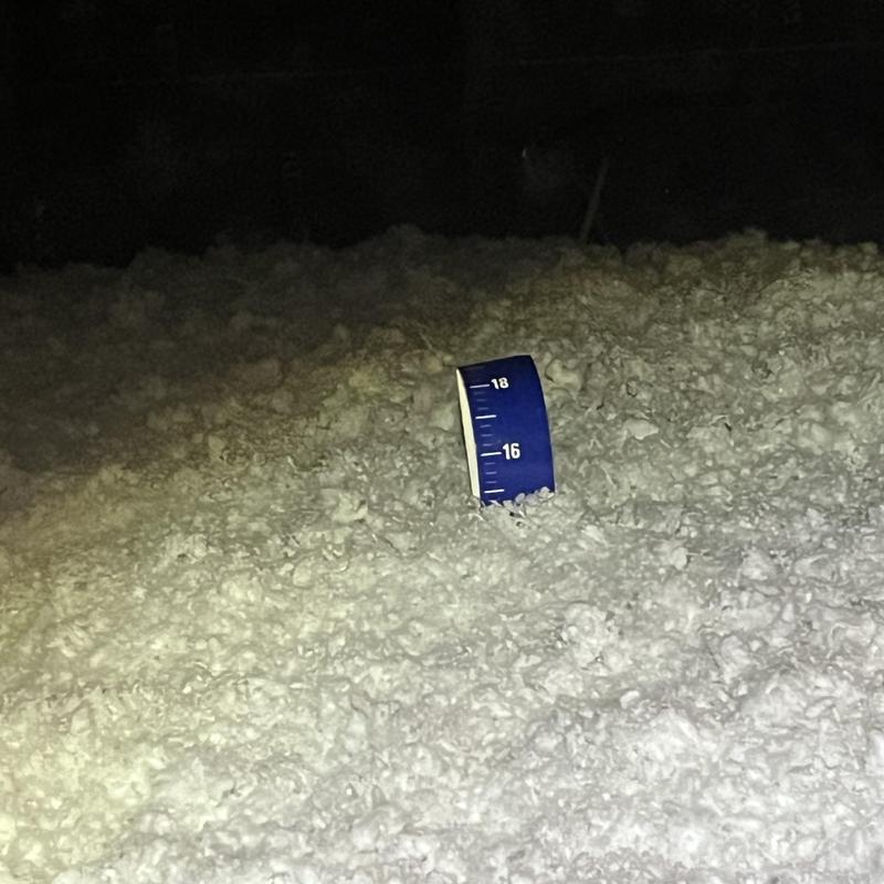 Attic loose-fill insulation depth measurement