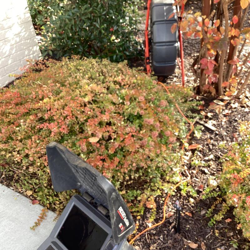 Sewer line inspection camera in front planter excavation