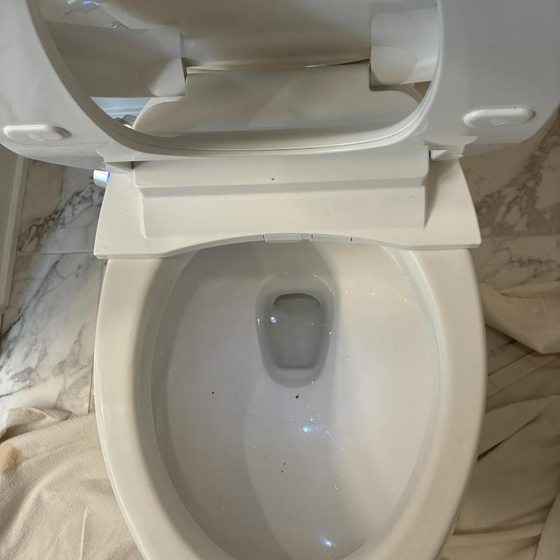 Toilet bowl with open seat and lid in bathroom