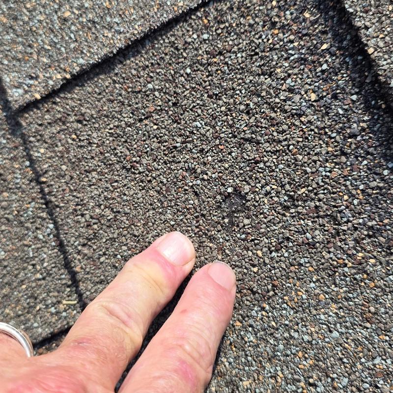 Asphalt shingle roof granule loss from hail damage