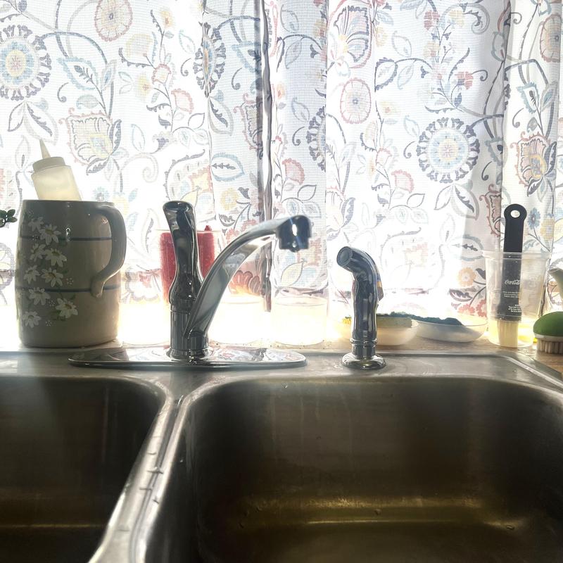Delta kitchen faucet and sprayer with supply lines
