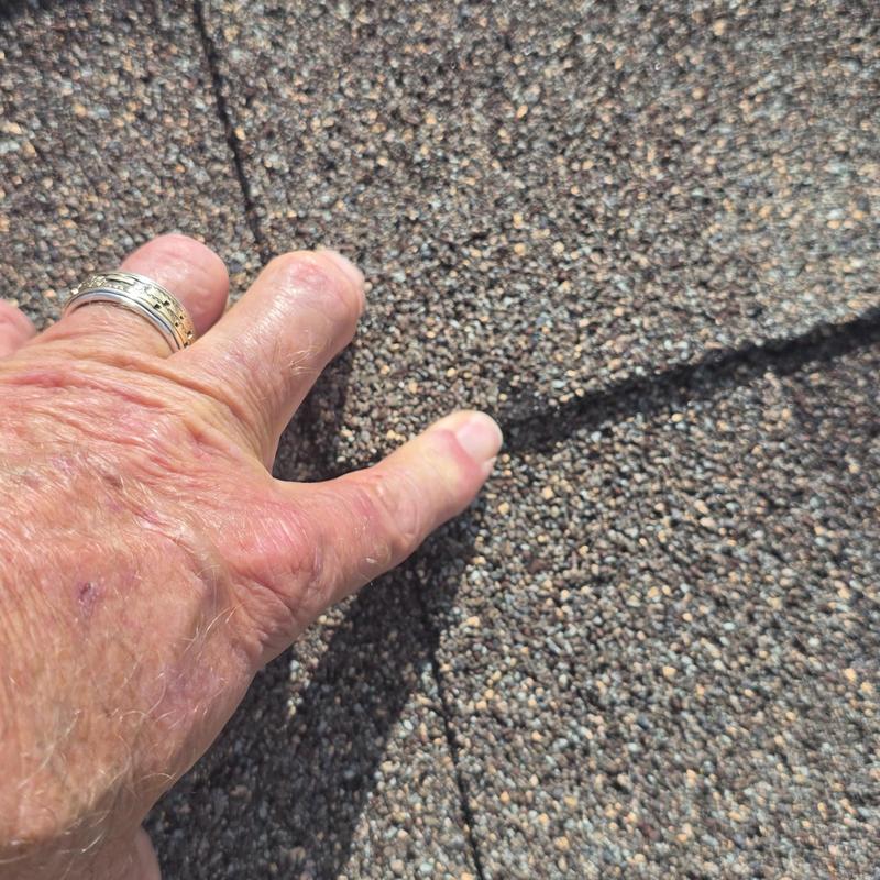 Asphalt shingle roof showing hail damage inspection Asphalt shingle roof showing hail damage inspection