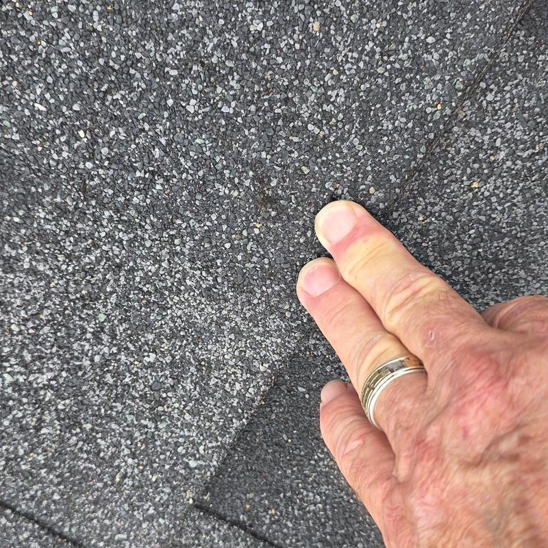 Asphalt shingle roof close-up showing granule wear Asphalt shingle roof close-up showing granule wear