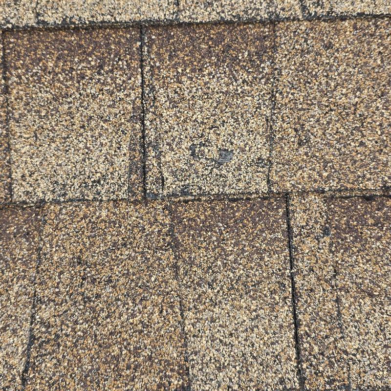 Roof shingles with granule loss and damage