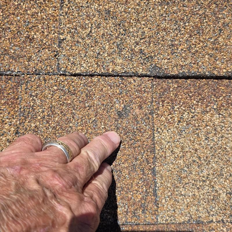 Asphalt shingle roof granule loss close-up with hand