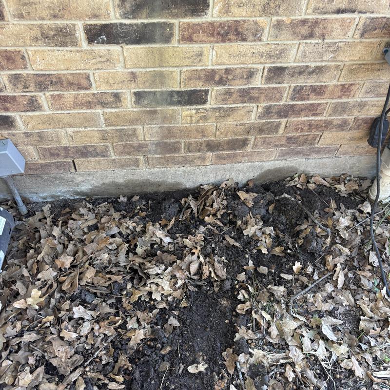 Slab foundation soil excavation with dry leaves