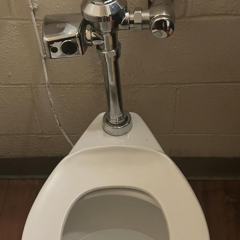 Flushometer valve with new diaphragm installed