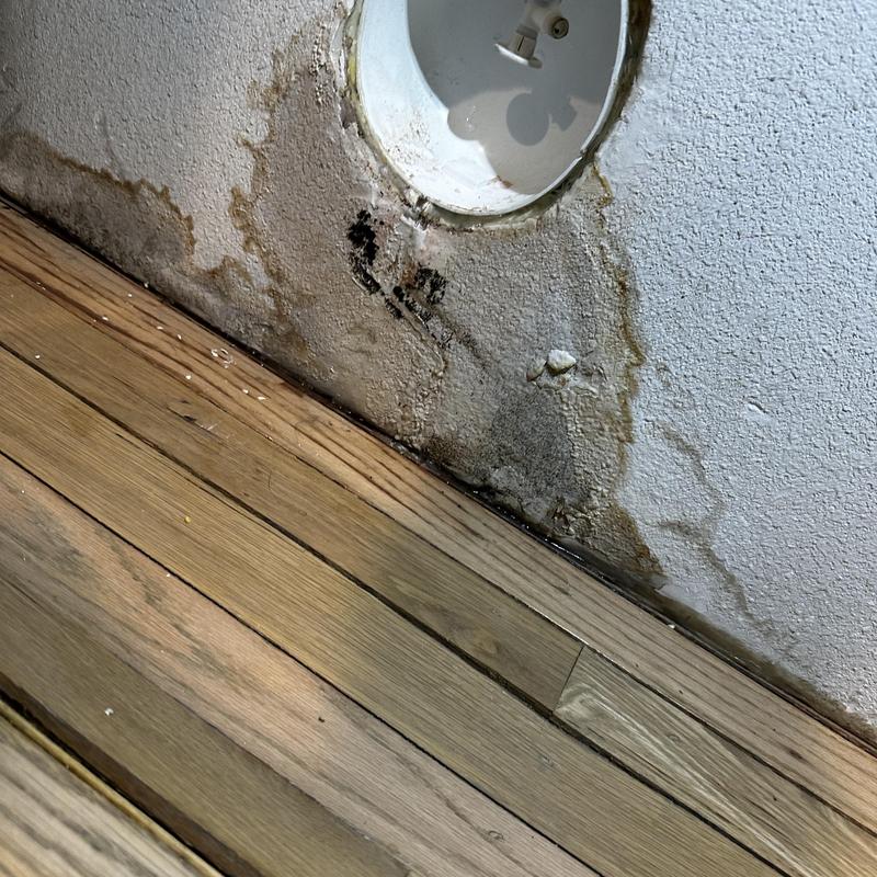 Wall water damage and mold near plumbing pipe opening