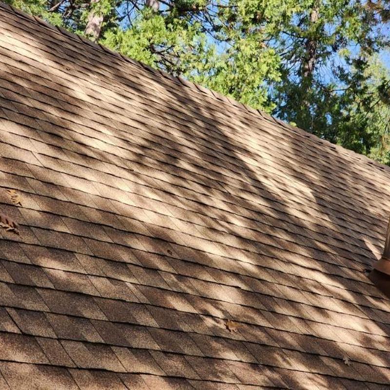 GAF asphalt shingle roof on residential home