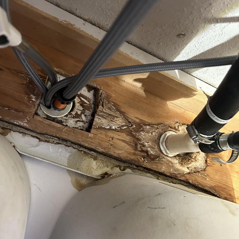 Kitchen sink drain pipes with water-damaged wood paneling