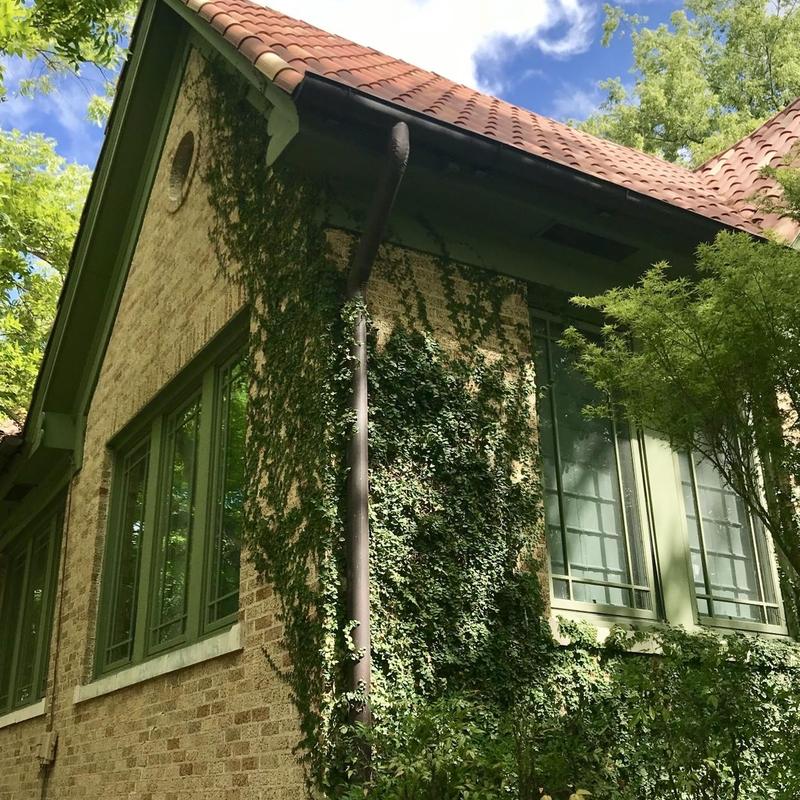 Ludowici Spanish clay tile roof with ivy on wall