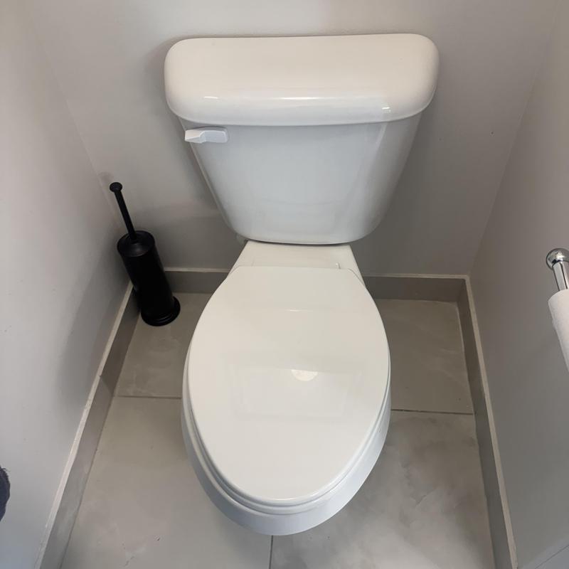 Toilet with replaced bolts and wax ring, no leaks