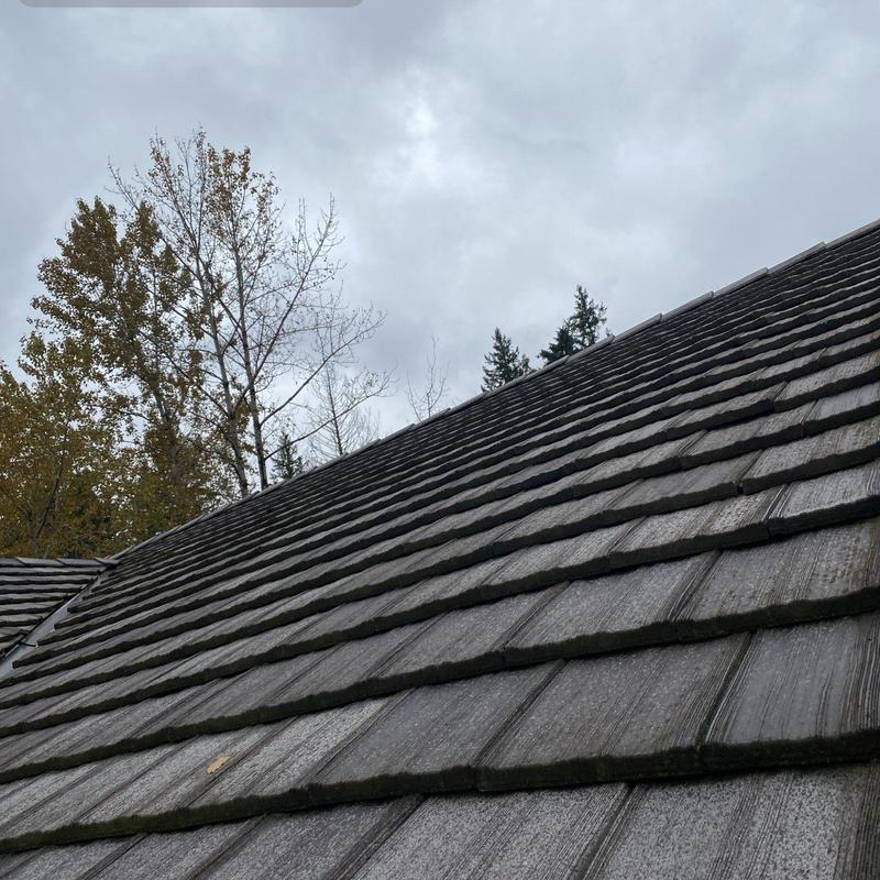 Wood shingle roof with moss and weathering buildup