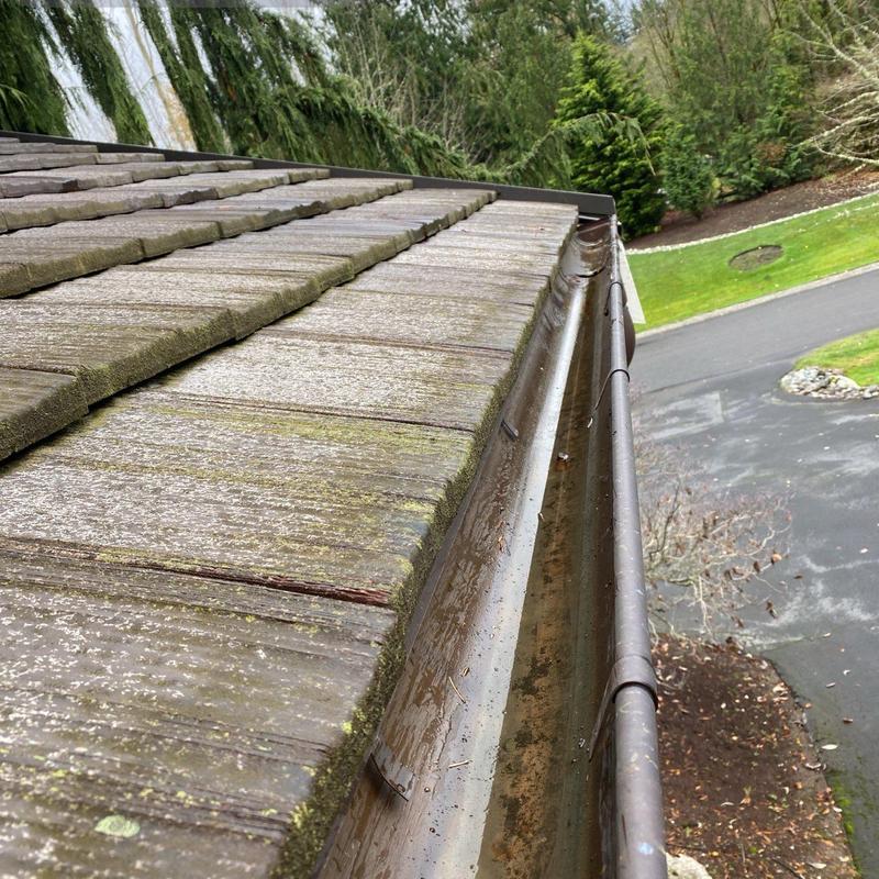 Gutter and roof edge with moss buildup in need of cleaning